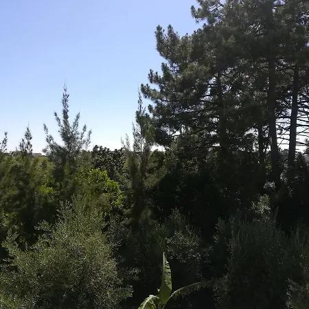Quinta Vale Real בית חווה *