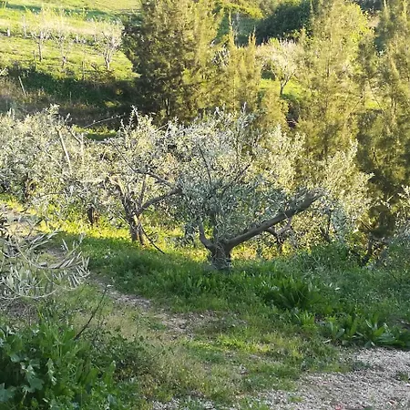 Quinta Vale Real مزرعة للإقامة *