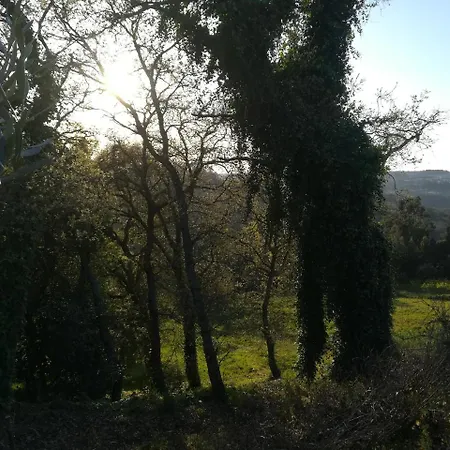 Quinta Vale Real مزرعة للإقامة الكوباسا